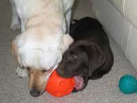 Mine!