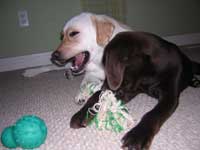Mine!