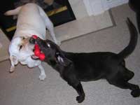 Mine!