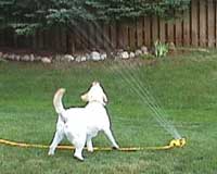 Water Dancing!