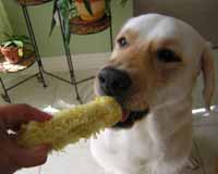 Taste good!