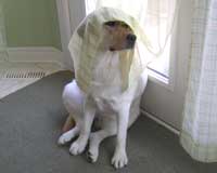 I'm hiding here!