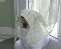 Nobody sees me!