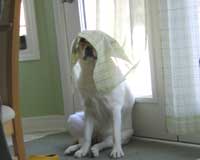 You can't see me!