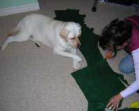 Supervise