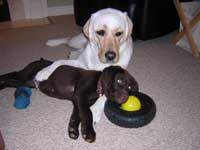 Don't move!