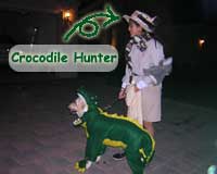 Crocodile Hunter & the Alligator