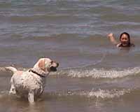 Let's go swimming!