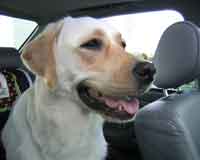 Where are we going?