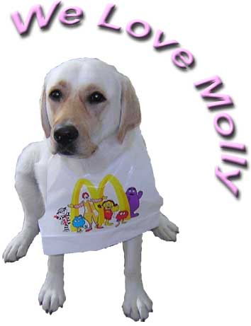 We Love Molly