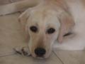 Hi! My name is Molly.