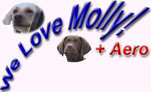 We Love Molly