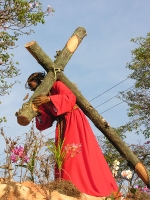 carrying the cross