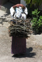 the ubiquitous firewood