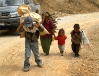 everyone has to help carry something