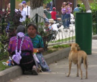 Antigua, city of sharp cultural contrasts
