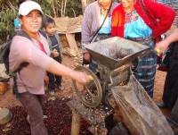 Doricelda, one of our health educators, helping out at the coffeebean-sheller