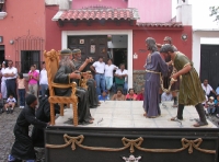 the trial