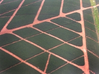 a geometric view from ze plane