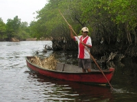 the canals of Monterrico