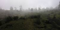 lost_in_the_fog lost in the fog