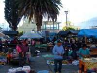 the daily market in San Miguel Acat�n