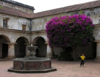 another view of the Capuchinas patio - hey that ain't no nun!