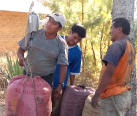 weighing the coffee beans