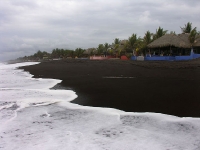VI. MONTERRICO