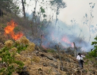 burning the land, as is done once a year almost everywhere in Guatemala