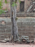 scary sea monster at Cop�n ruins