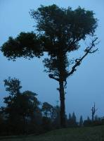 strange_landscapes_on_the_way_up Click on the 