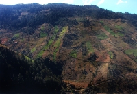 a typical project-area landscape