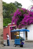 selling fruit on the streets of Antigua