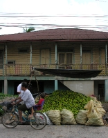 more mangoes for sale, Puerto Barrios