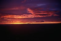 Click for photos from Joshua Tree National Park