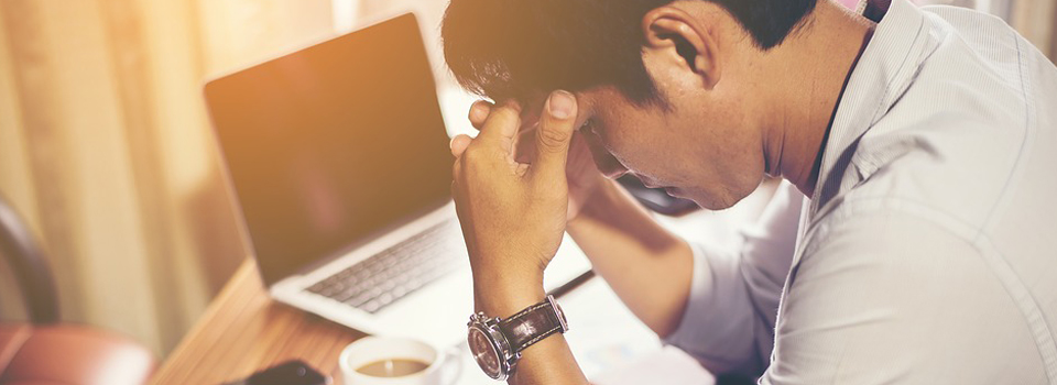 Career Problem Solution Specialist