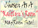 I made Kaitlyn's Room!