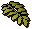 Curry leaf
