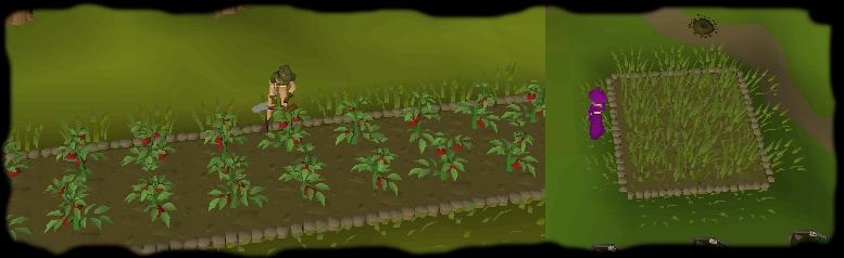 Farming