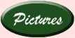 Pictures