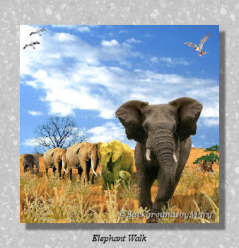 elephantwalk