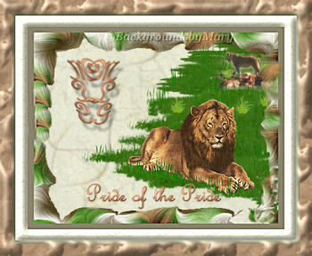 lionframe