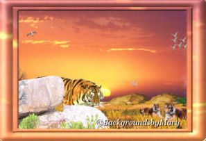 tigerframe