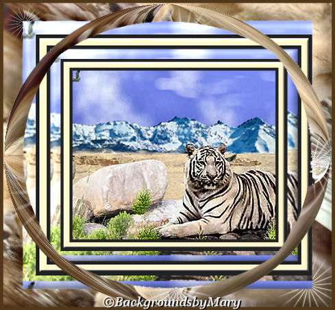 tigerpaintedframe