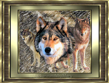 wolftube