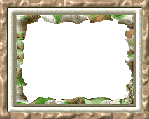 Lionframe.gif
