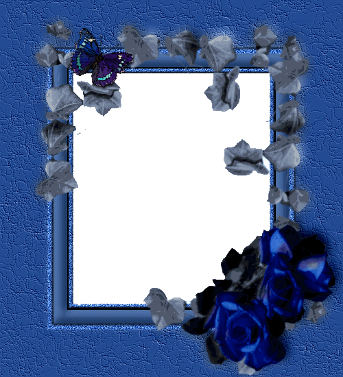 pfclass2a.gif