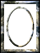 /recoval.zip
