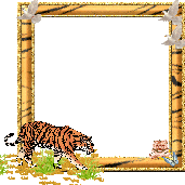 tigerframe1.gif